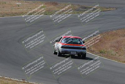 media/May-04-2024-Lucky Dog Racing (Sat) [[d39539b3f3]]/Practice I Qualifying (Turn 4a)/